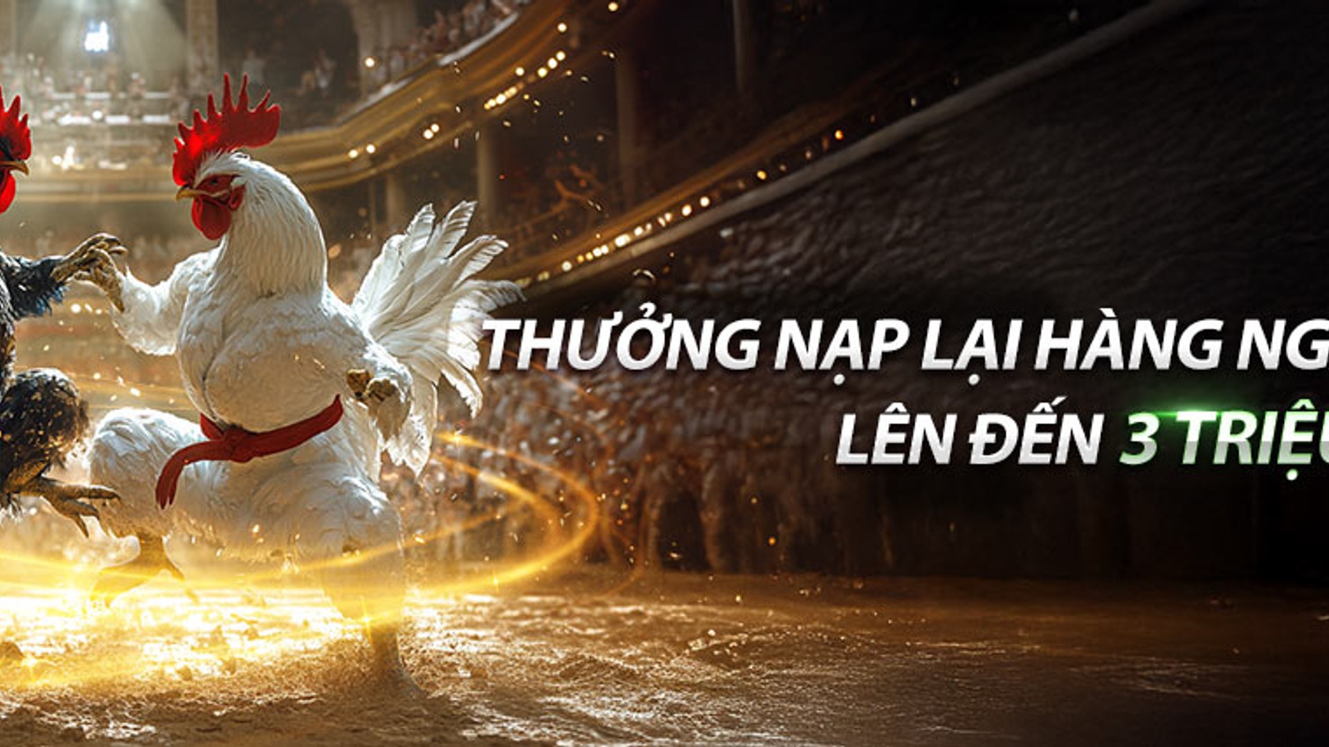 Trực tiếp đá gà SV368 Thomo kịch tính
