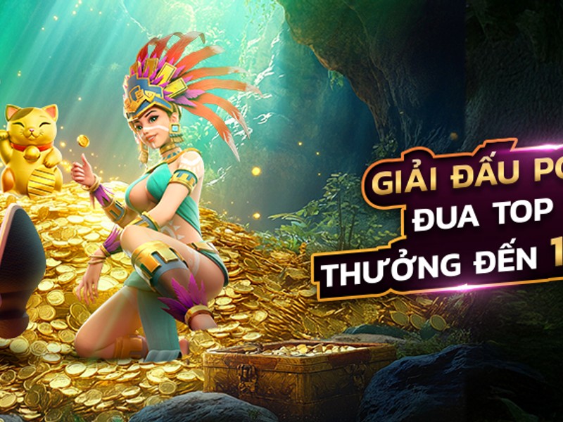 Các trường gà quốc tế nổi tiếng
