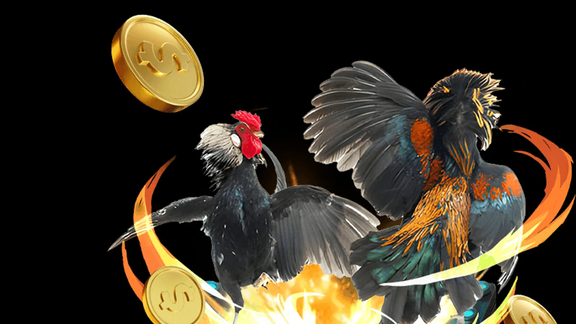 Sân đấu gà Thomo sôi động