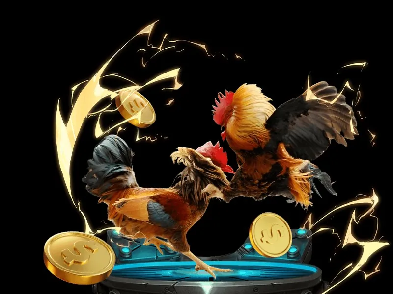 Khán giả hò reo tại đấu trường đá gà Thomo của SV368